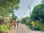 งานปรับปรุง​ภูมิ​ทัศน์​